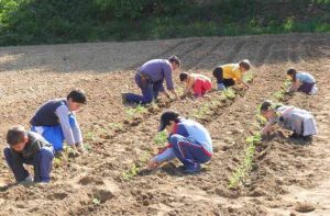 Agricoltura-sociale