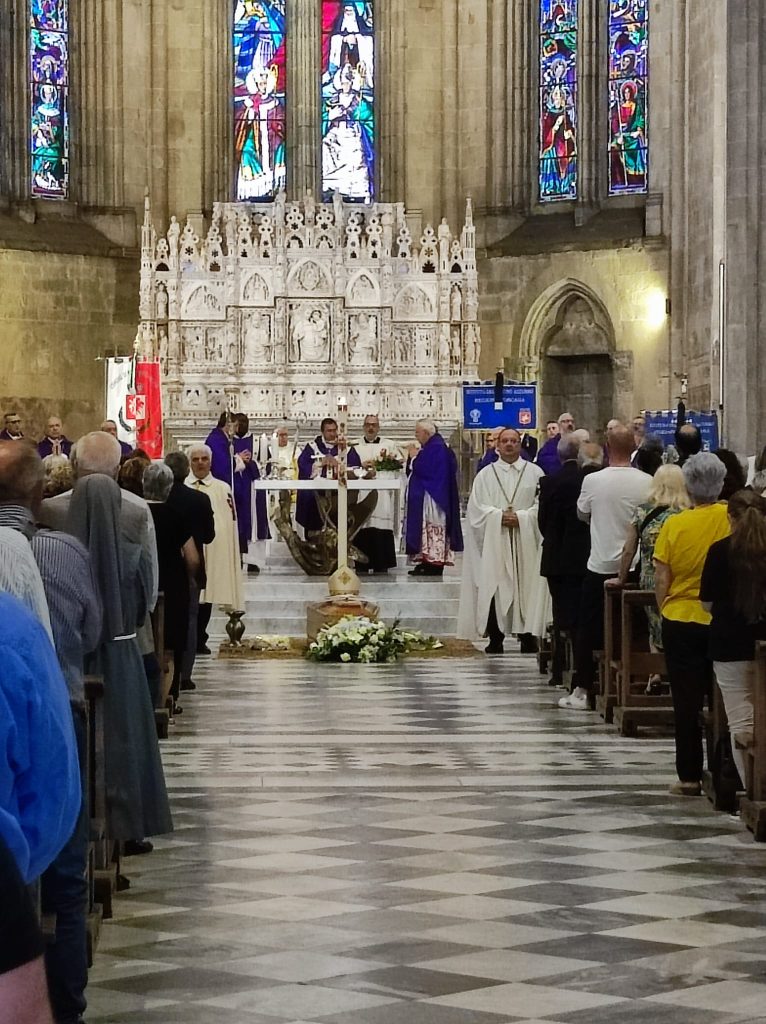 WhatsApp Image 2024-07-01 at 17.33.11